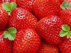 Image result for Strawberry