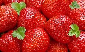 Image result for strawberry