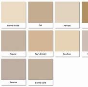 Image result for Platinum Gray House Color