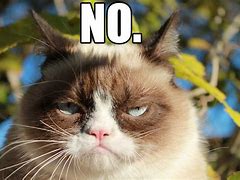 Image result for Grumpy Cat Meme Angry