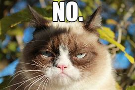 Image result for Tard Grumpy Cat Meme