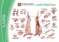 Custom Lamb Instructions Amp Forms Johnston S