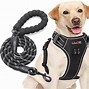 Image result for No Pull Dog Harness