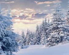Image result for Winter Forest Wallpaper 4K