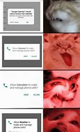 Image result for Allow Weather to Make and Manage Phone Calls Meme