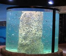 Image result for Smart Water Fish