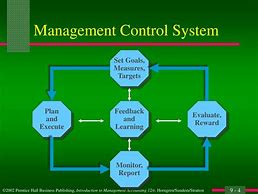 Image result for Explain Nature of the Management Control System