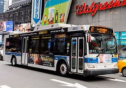 Image result for +New York City Bus Fickr N10