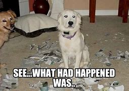 Image result for What Happened MEME Funny