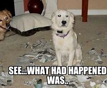 Image result for See What Happened Was Meme
