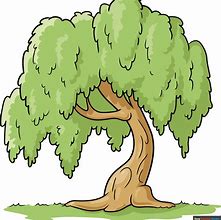 Image result for willow trees draw
