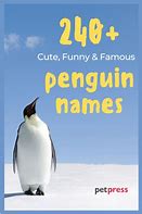 Image result for Cute Penguin Names
