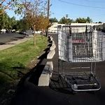 Image result for Shopping Cart Meme Parking Lot
