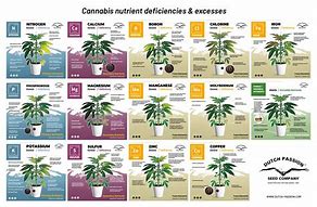 Image result for Cannabis Deficiency Chart Poster
