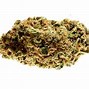 Image result for High THC Seeds