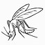 Image result for Mosquito Cartoon Sketch