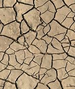 Image result for Cracked Rock Texture