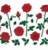 Image result for Blooming Rose Outline