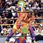 Image result for WrestleMania 9 Poster