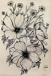 Image result for Botanical Pen and Ink Drawings