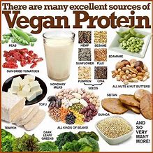 Image result for Top 10 Vegetarian Protein Foods