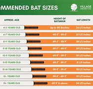 Image result for Cricket Bat Weight