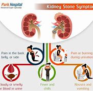 Image result for Kidney Stone Pain Symptoms