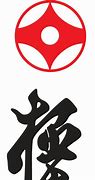 Image result for Kyokushin Karate Kanchu Designs