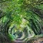 Image result for Halnaker Tree Tunnel Girl