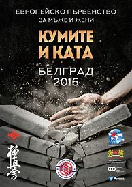 Image result for Kyokushin Poster