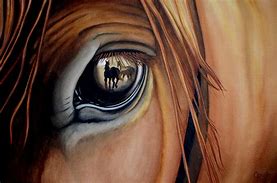 Image result for Horse Eye Painting
