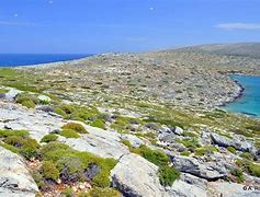 Image result for DIA Island Greece