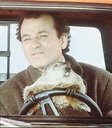 Image result for Bill Murray Groundhog Day Movie