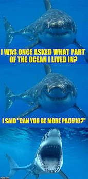 Image result for Ocean Memes