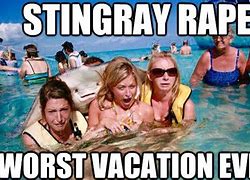 Image result for Worst Vacation Ever Meme