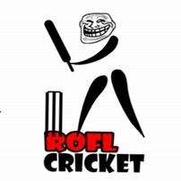 Image result for Playing Cricket