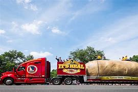 Image result for Largest Potato Images