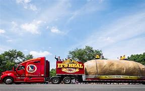 Image result for Largest Potato Ever