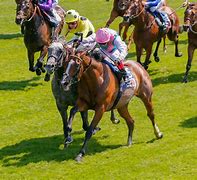 Image result for Scheme of Ascot in England Horse Racing