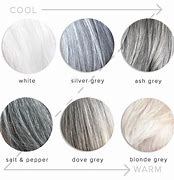Image result for Gray Hair Color Chart