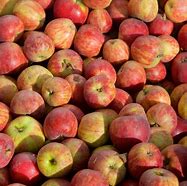 Image result for Winesap Apples