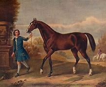 Image result for Darley Arabian Book