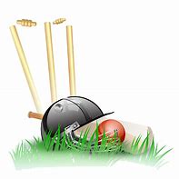 Image result for Cricket Art Landscape PNG