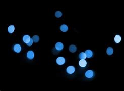Image result for Trees with Twinkle Lights Background