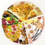 Image result for 3 Types of Diets