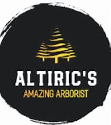 Image result for altiric�m