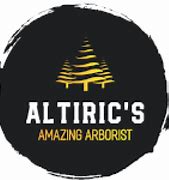 Image result for altiric�b