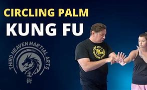 Image result for Rare Kung Fu Styles