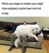 Image result for Dog Door Meme