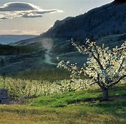 Image result for Orchards WA